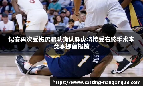 锡安再次受伤鹈鹕队确认胖虎将接受右膝手术本赛季提前报销